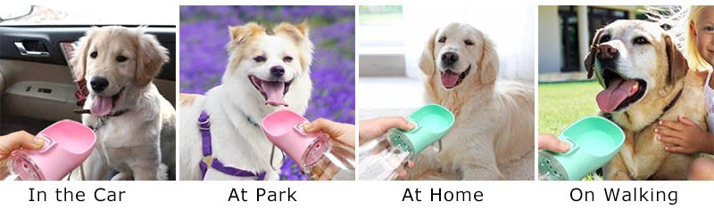 Portable leak-proof dog water bottle with built-in drinking cup used during outdoor walk